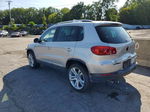 2013 Volkswagen Tiguan S Silver vin: WVGAV7AX6DW526920