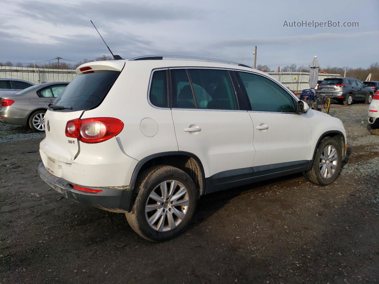 2010 Volkswagen Tiguan S White vin: WVGAV7AX7AW505828