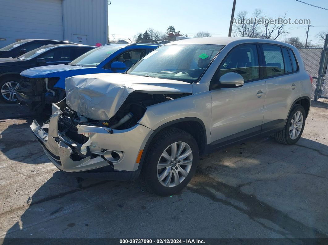 2010 Volkswagen Tiguan S Silver vin: WVGAV7AX7AW511225