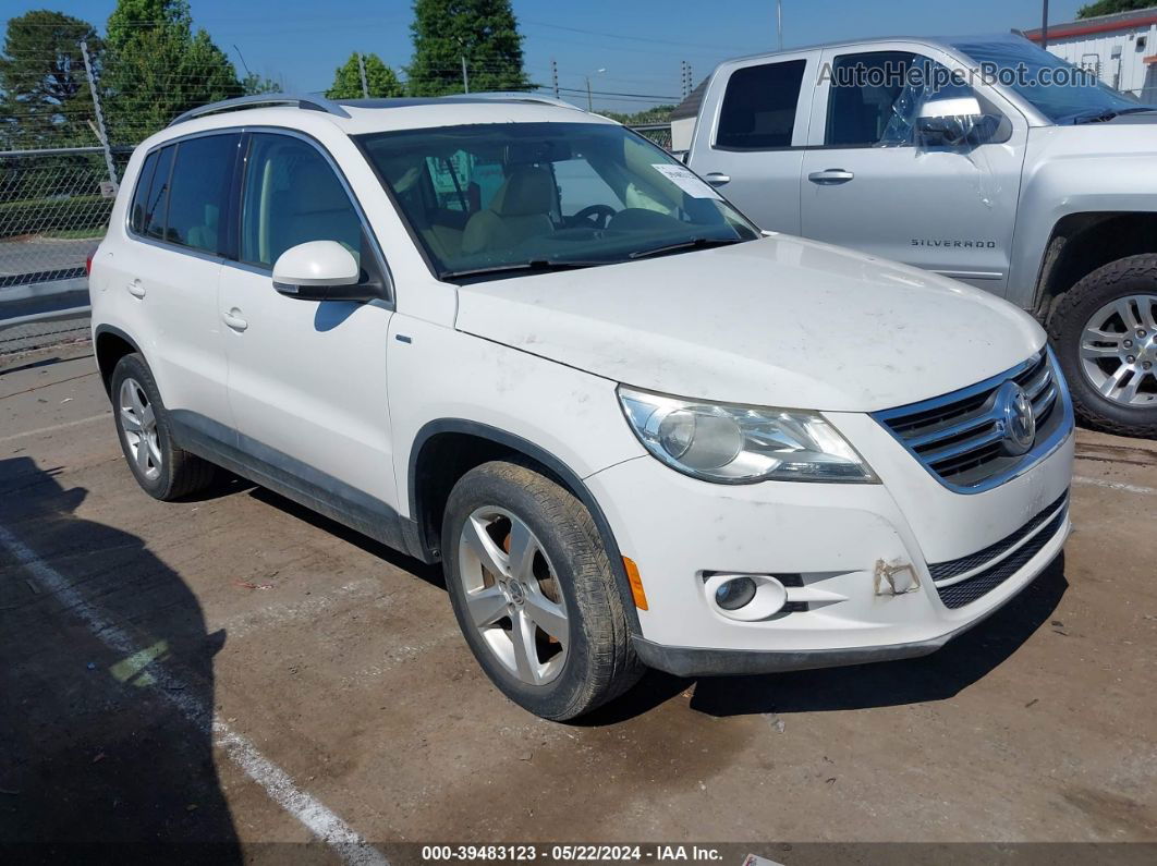 2010 Volkswagen Tiguan Wolfsburg Edition White vin: WVGAV7AX7AW520801