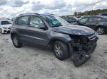 2016 Volkswagen Tiguan S Gray vin: WVGAV7AX7GW508012