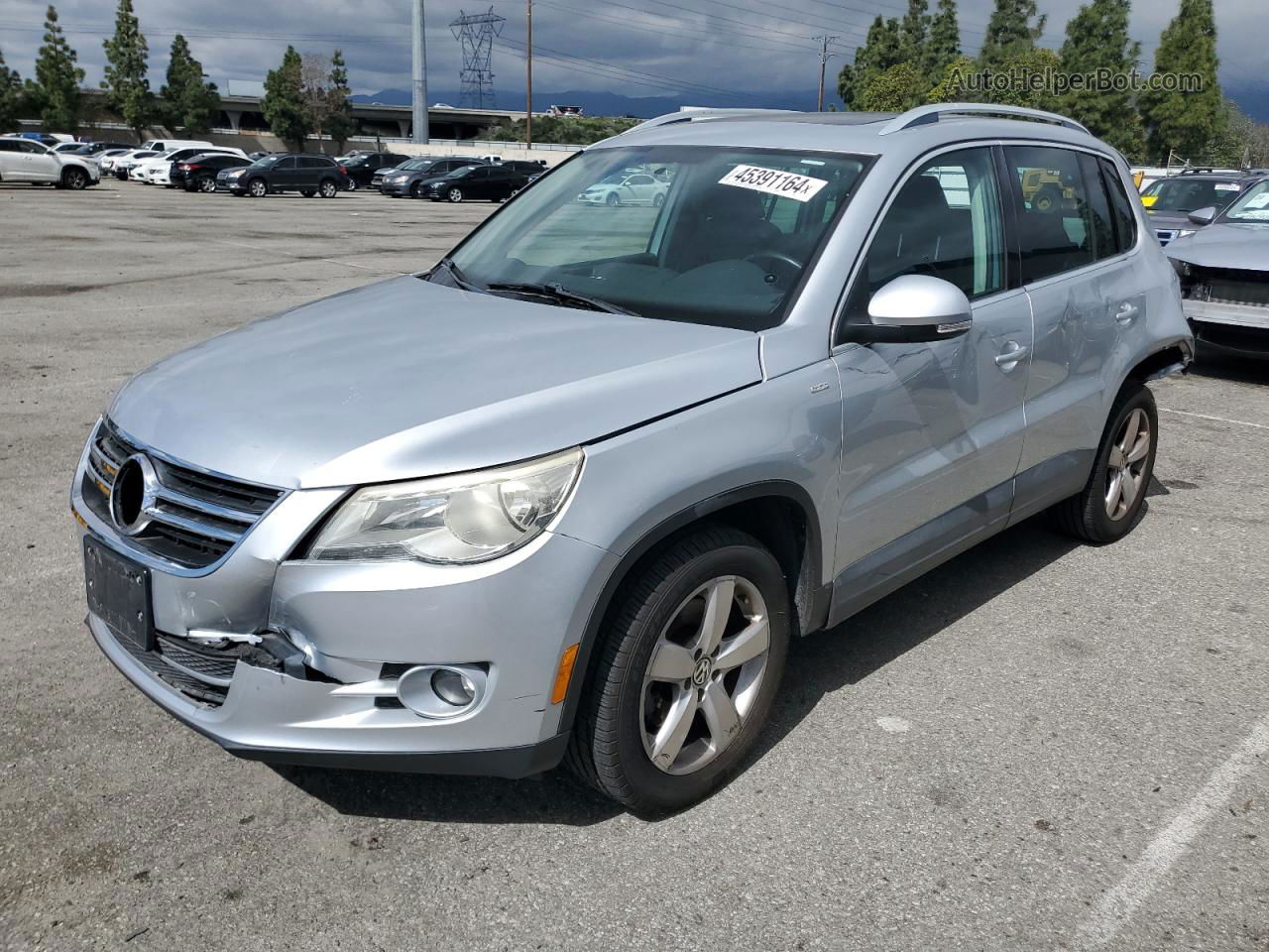 2010 Volkswagen Tiguan S Silver vin: WVGAV7AX8AW514618