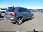 2010 Volkswagen Tiguan Wolfsburg Edition Gray vin: WVGAV7AX8AW516580