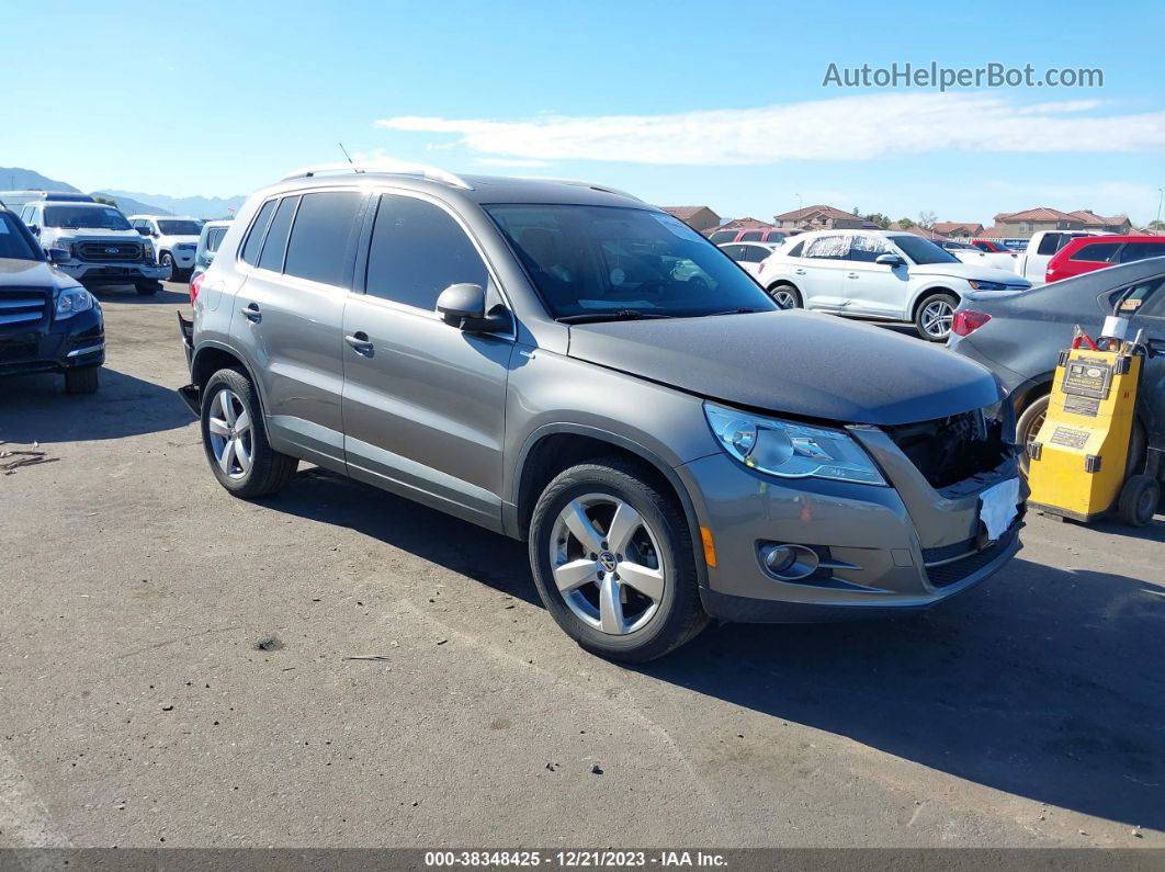 2010 Volkswagen Tiguan Wolfsburg Edition Gray vin: WVGAV7AX8AW516580