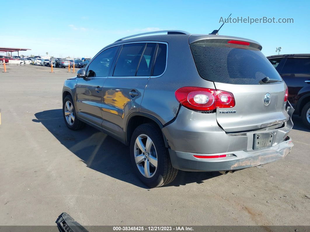 2010 Volkswagen Tiguan Wolfsburg Edition Gray vin: WVGAV7AX8AW516580