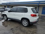 2016 Volkswagen Tiguan S Белый vin: WVGAV7AX8GW522257