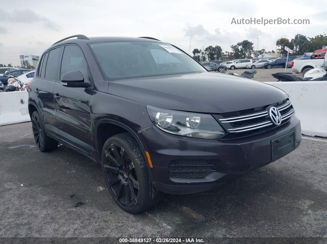 2016 Volkswagen Tiguan S Gray vin: WVGAV7AX8GW591952