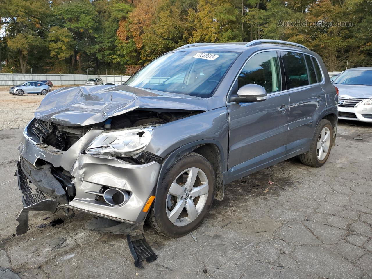 2010 Volkswagen Tiguan S Серый vin: WVGAV7AX9AW001653