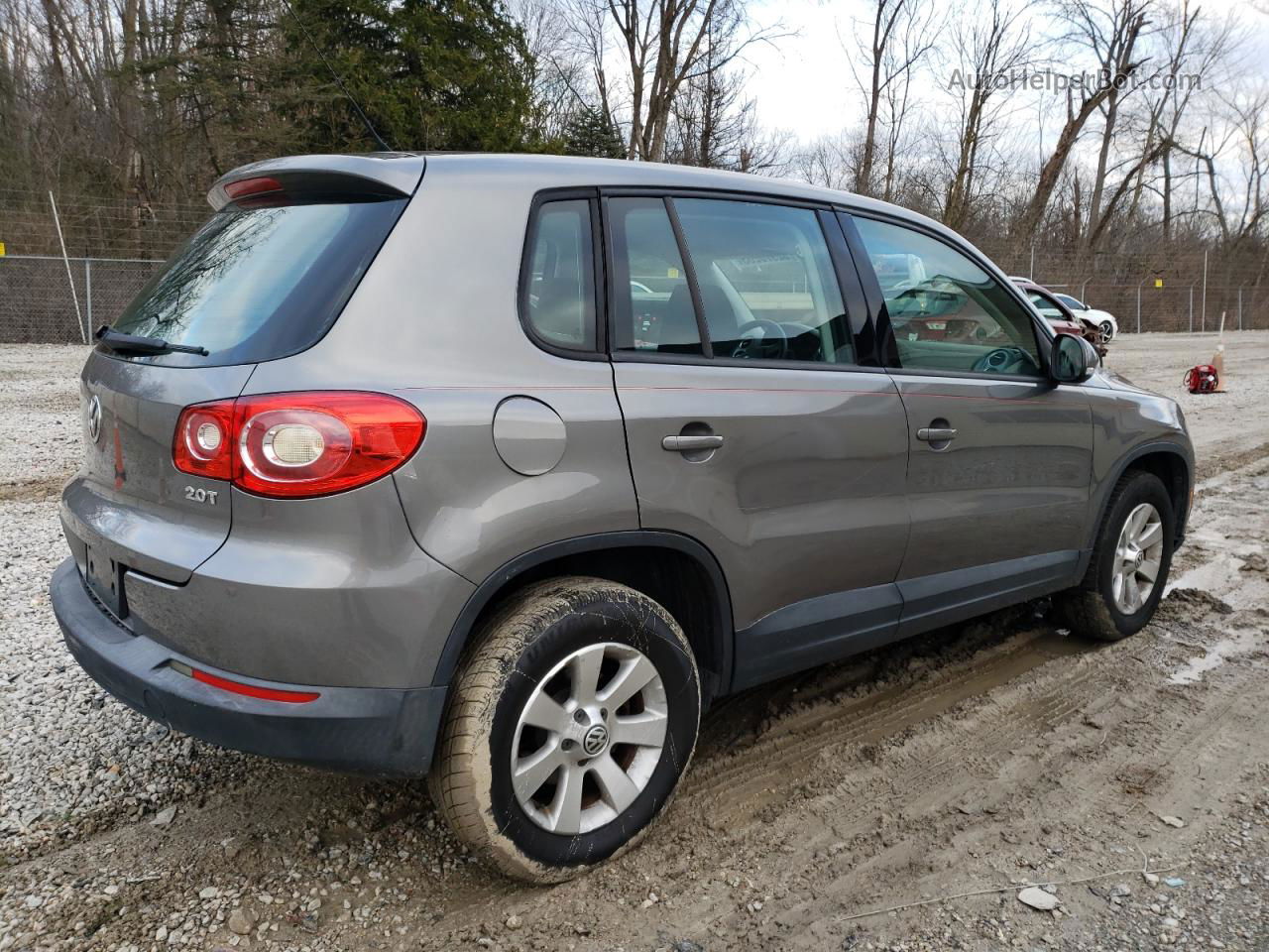 2010 Volkswagen Tiguan S Серый vin: WVGAV7AX9AW520928