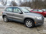 2010 Volkswagen Tiguan S Gray vin: WVGAV7AX9AW520928