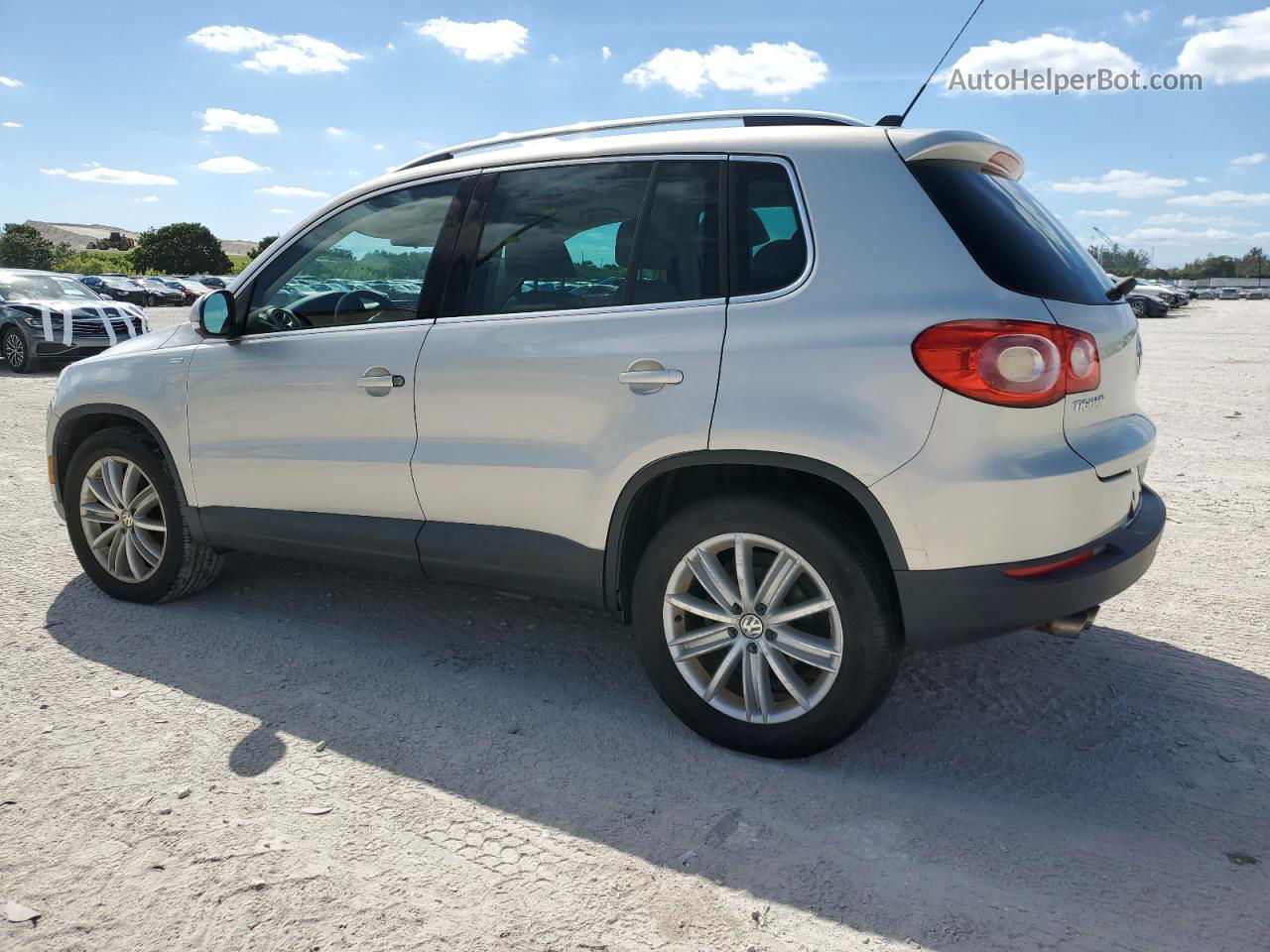 2010 Volkswagen Tiguan S Silver vin: WVGAV7AX9AW529502