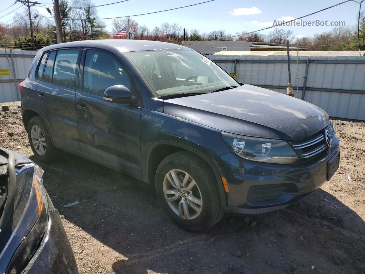 2013 Volkswagen Tiguan S Blue vin: WVGAV7AX9DW509836