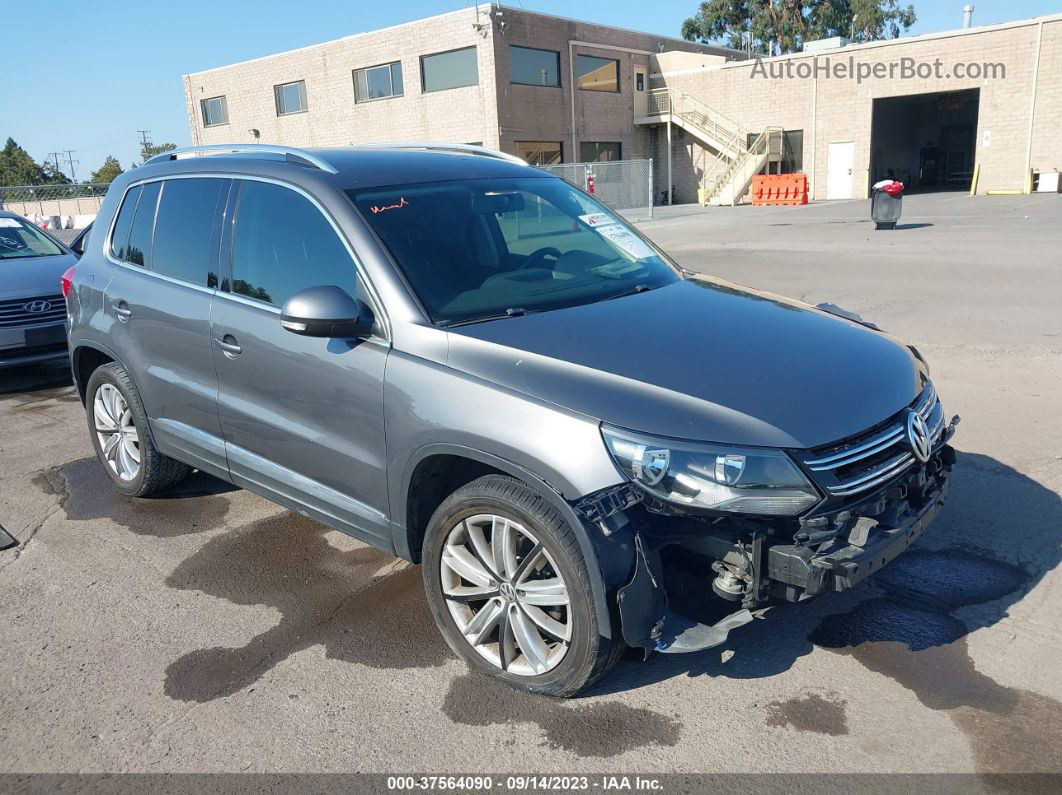 2013 Volkswagen Tiguan Se Серый vin: WVGAV7AX9DW538950