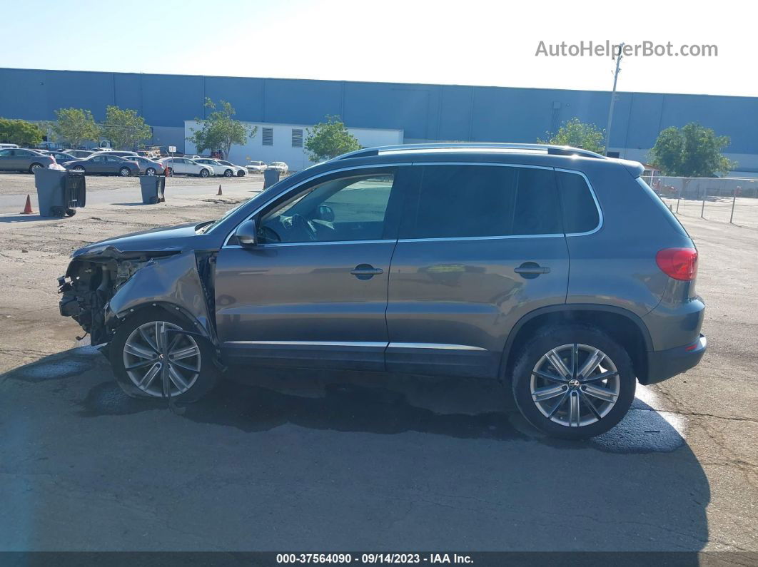 2013 Volkswagen Tiguan Se Серый vin: WVGAV7AX9DW538950