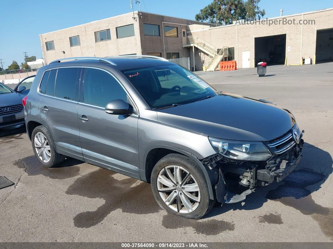 2013 Volkswagen Tiguan Se Серый vin: WVGAV7AX9DW538950