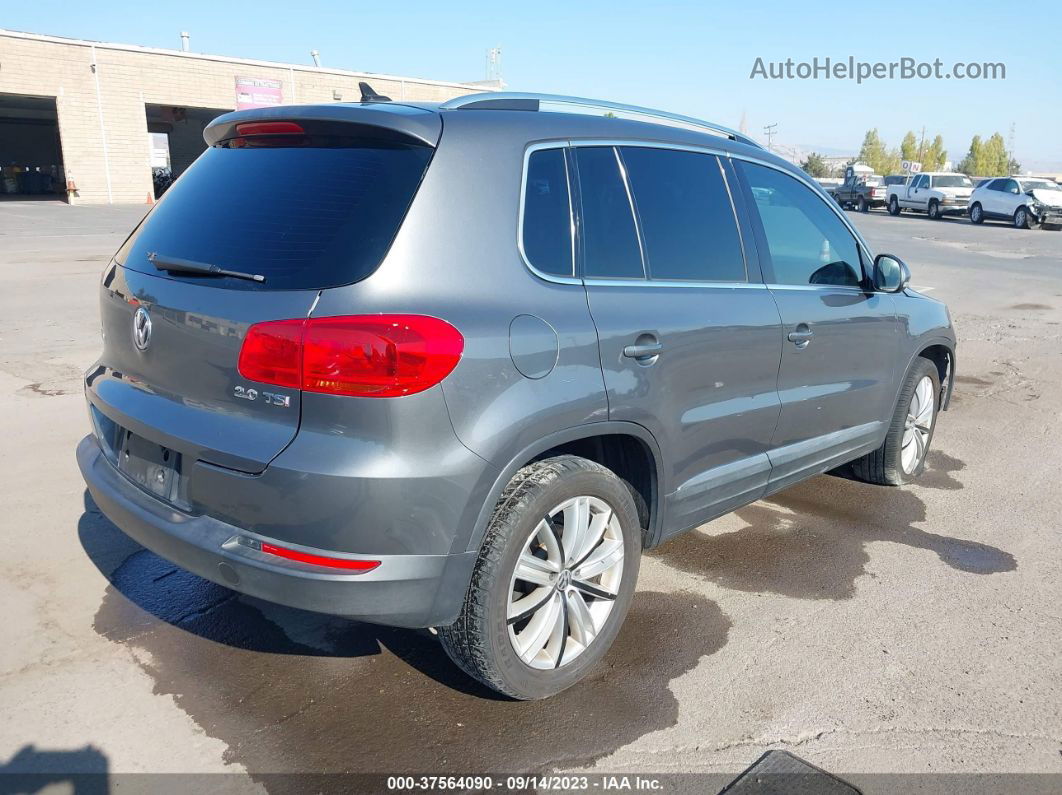 2013 Volkswagen Tiguan Se Серый vin: WVGAV7AX9DW538950