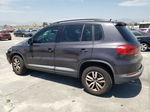 2016 Volkswagen Tiguan S Gray vin: WVGAV7AX9GW559009