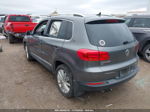 2016 Volkswagen Tiguan Se Pewter vin: WVGAV7AX9GW602960