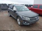 2016 Volkswagen Tiguan Se Pewter vin: WVGAV7AX9GW602960