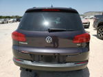 2016 Volkswagen Tiguan S Gray vin: WVGAV7AX9GW608564