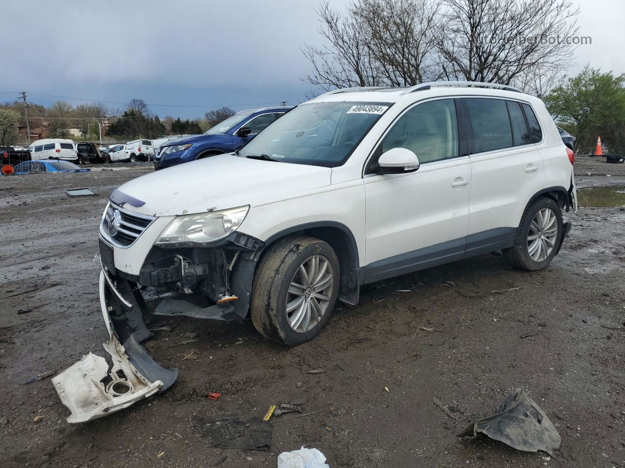 2010 Volkswagen Tiguan S Белый vin: WVGAV7AXXAW510554