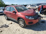 2016 Volkswagen Tiguan S Red vin: WVGAV7AXXGW003761