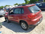 2016 Volkswagen Tiguan S Red vin: WVGAV7AXXGW003761