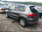 2016 Volkswagen Tiguan S Gray vin: WVGAV7AXXGW556457