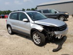 2017 Volkswagen Tiguan S Silver vin: WVGAV7AXXHK049745