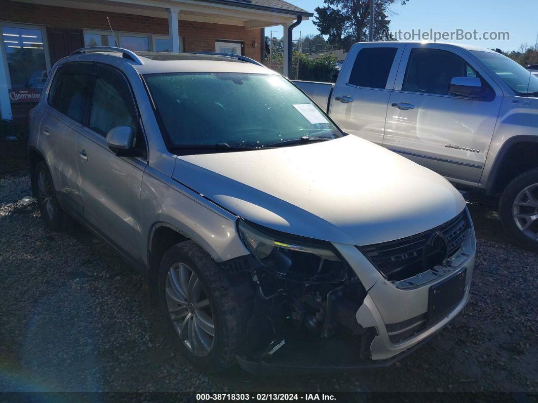 2010 Volkswagen Tiguan Sel Silver vin: WVGAV9AX7AW504030