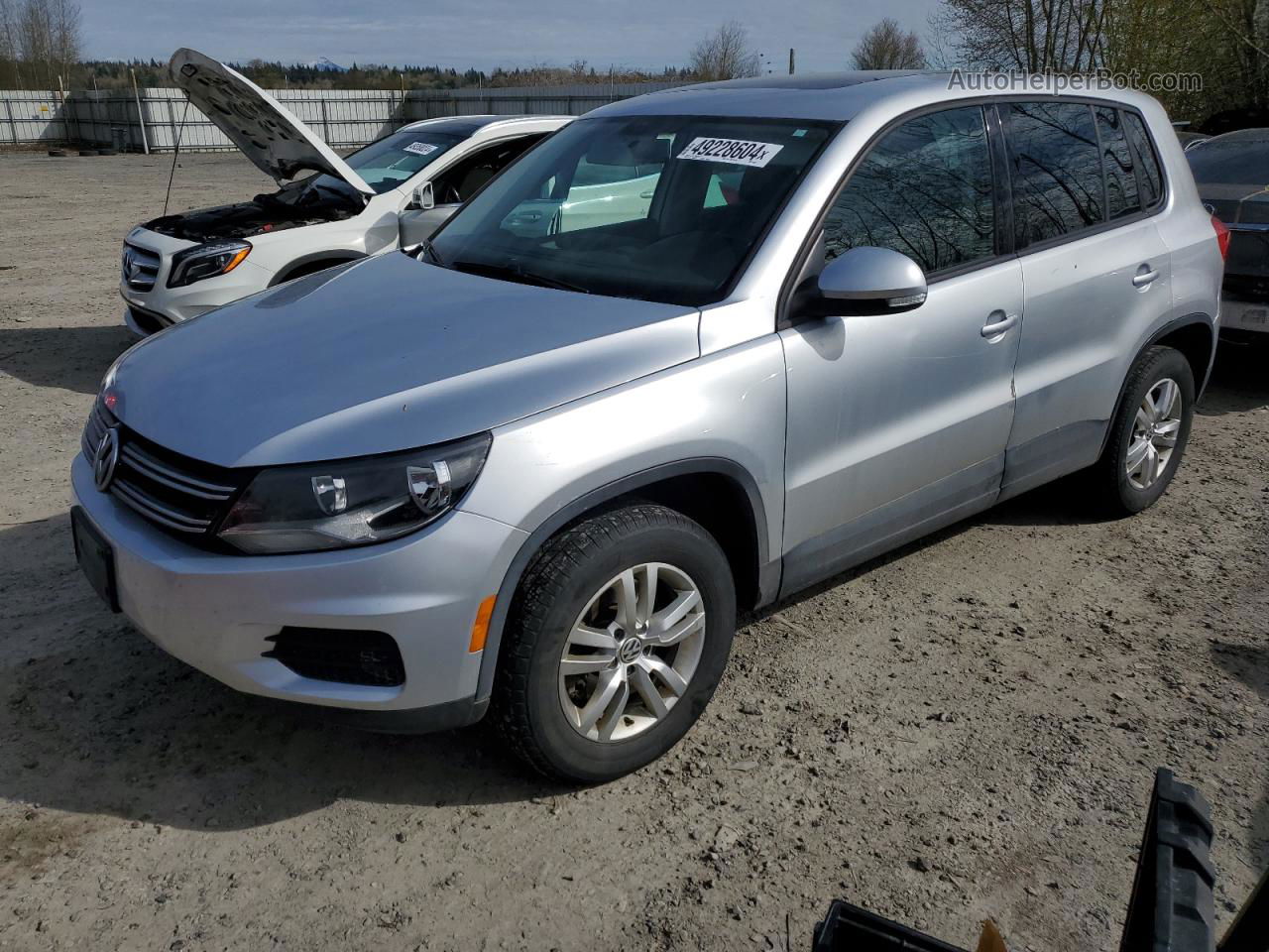 2013 Volkswagen Tiguan S Silver vin: WVGBV3AX1DW623679