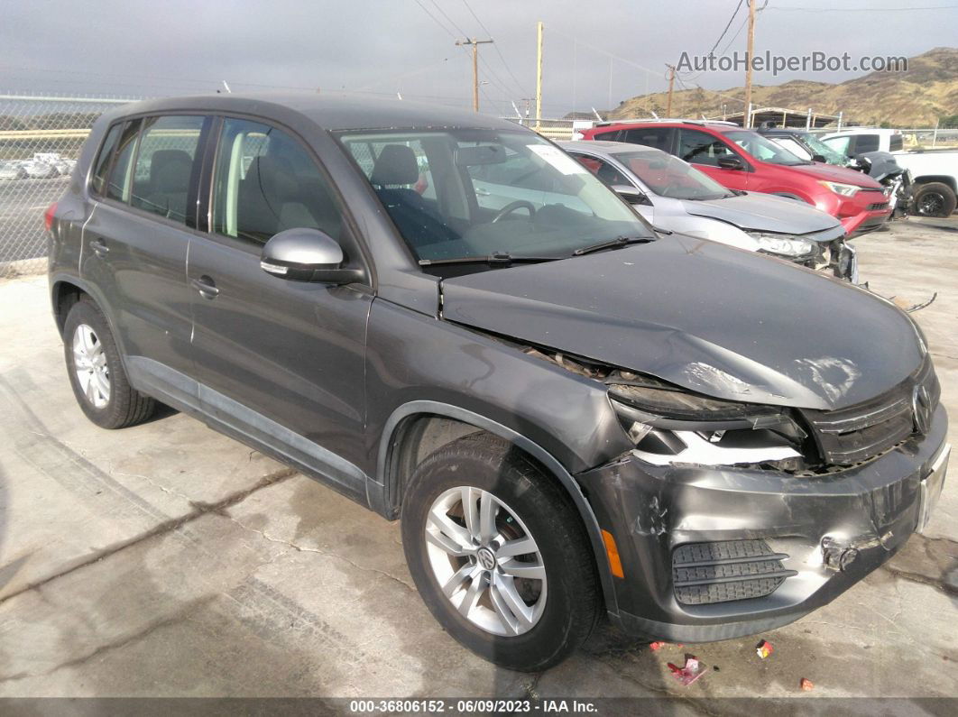 2013 Volkswagen Tiguan S Gray vin: WVGBV3AX2DW572001