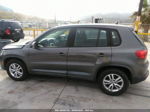 2013 Volkswagen Tiguan S Gray vin: WVGBV3AX2DW572001