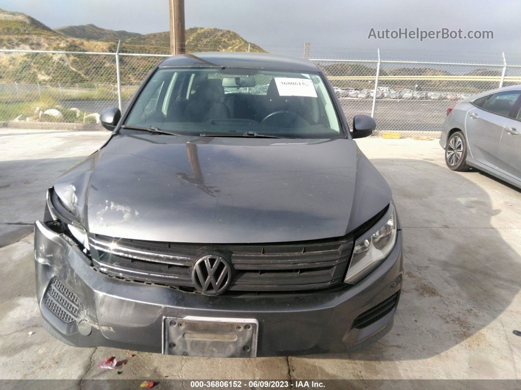 2013 Volkswagen Tiguan S Gray vin: WVGBV3AX2DW572001