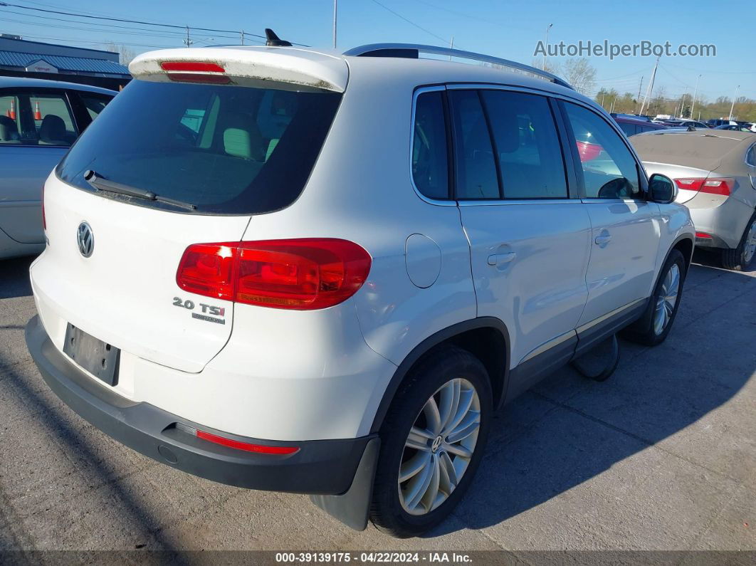 2013 Volkswagen Tiguan Se Белый vin: WVGBV3AX2DW596170