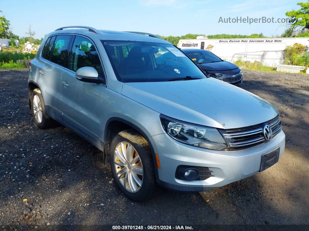 2013 Volkswagen Tiguan Se Silver vin: WVGBV3AX3DW591429