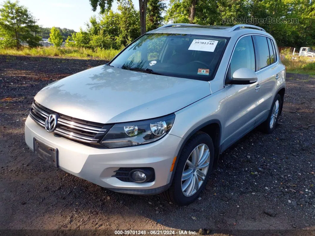 2013 Volkswagen Tiguan Se Silver vin: WVGBV3AX3DW591429