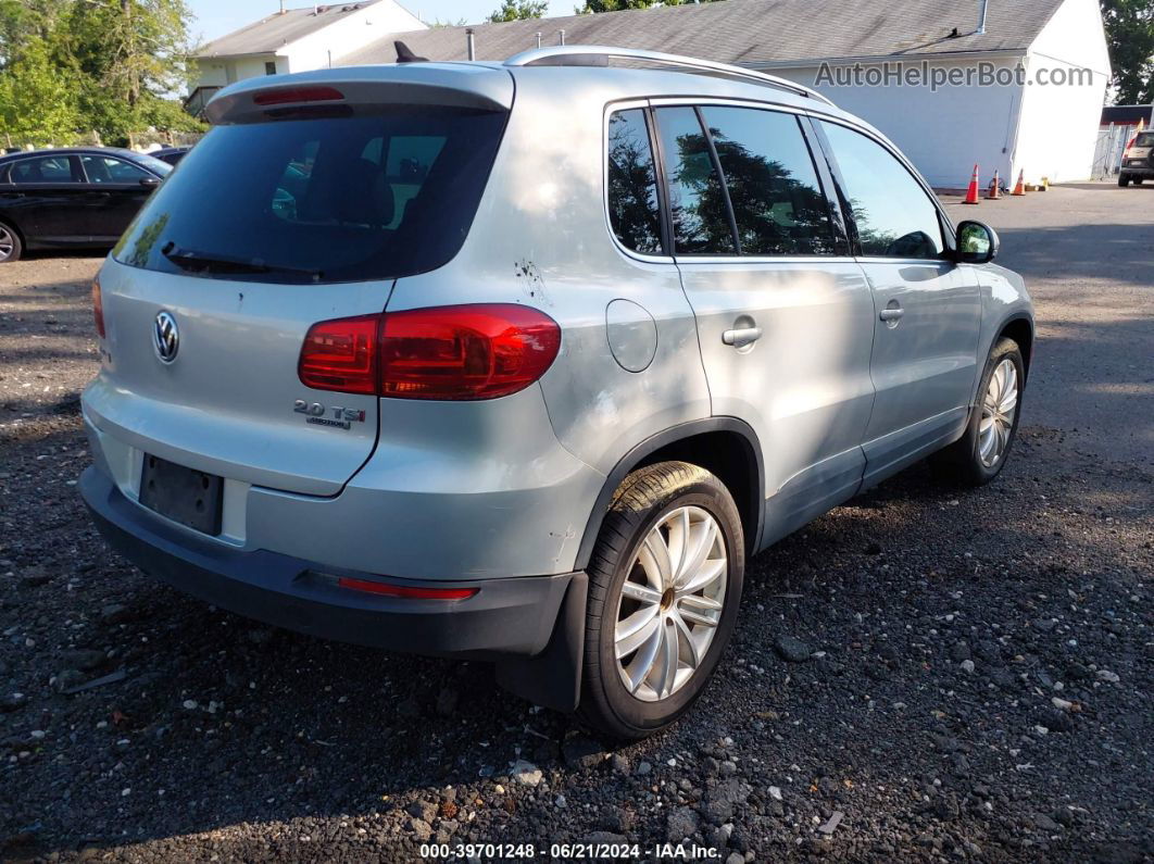 2013 Volkswagen Tiguan Se Silver vin: WVGBV3AX3DW591429