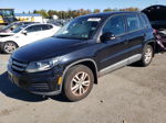 2013 Volkswagen Tiguan S Black vin: WVGBV3AX3DW608102