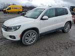 2013 Volkswagen Tiguan S Белый vin: WVGBV3AX3DW621643