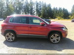 2013 Volkswagen Tiguan Sel Красный vin: WVGBV3AX4DW089755