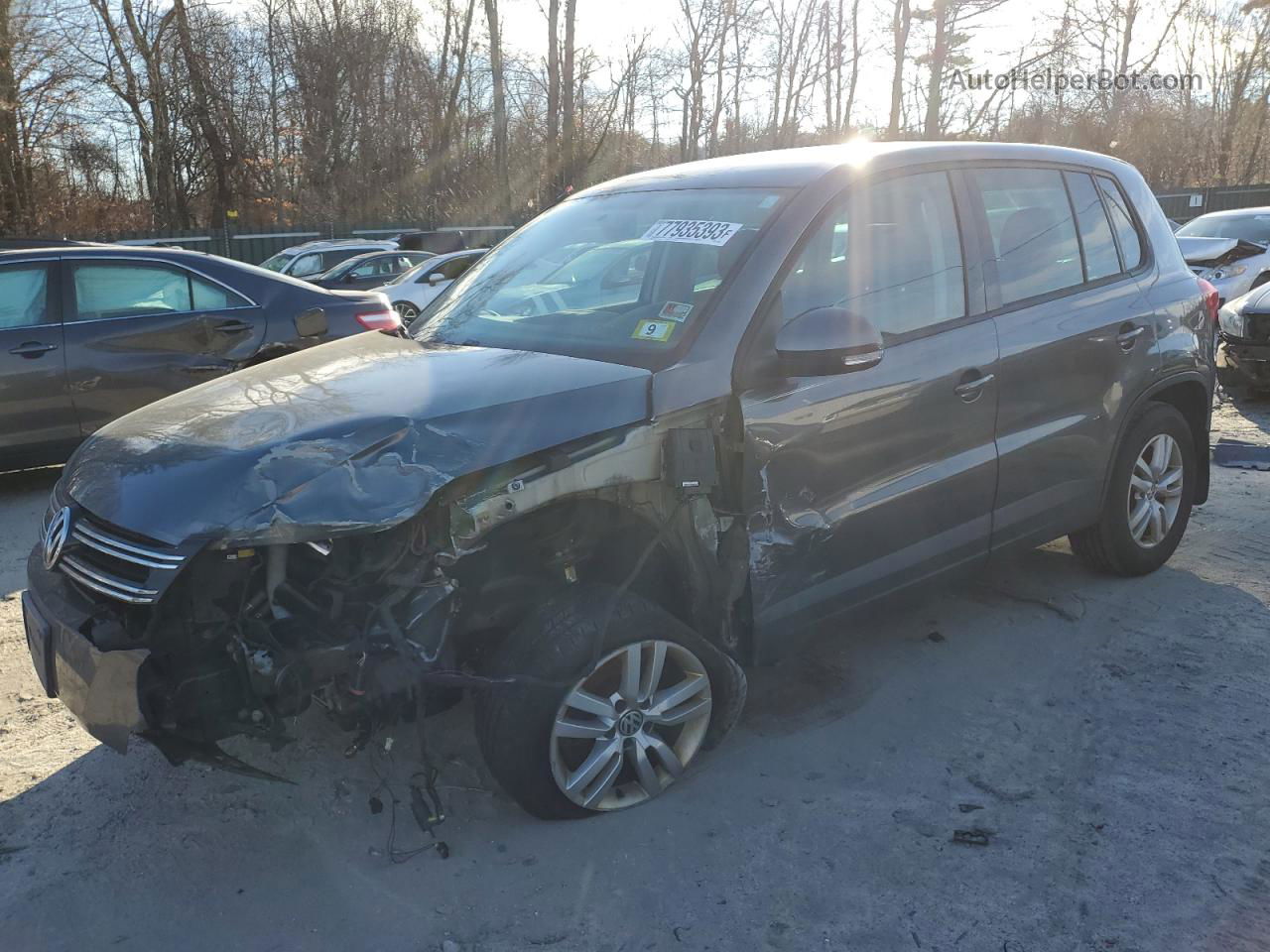 2013 Volkswagen Tiguan S Gray vin: WVGBV3AX4DW576812