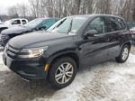 2013 Volkswagen Tiguan S Black vin: WVGBV3AX4DW620808