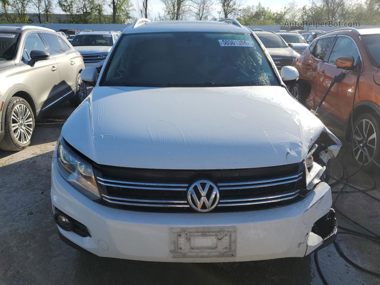 2013 Volkswagen Tiguan S White vin: WVGBV3AX7DW559678