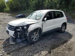 2013 Volkswagen Tiguan S White vin: WVGBV3AX7DW600035