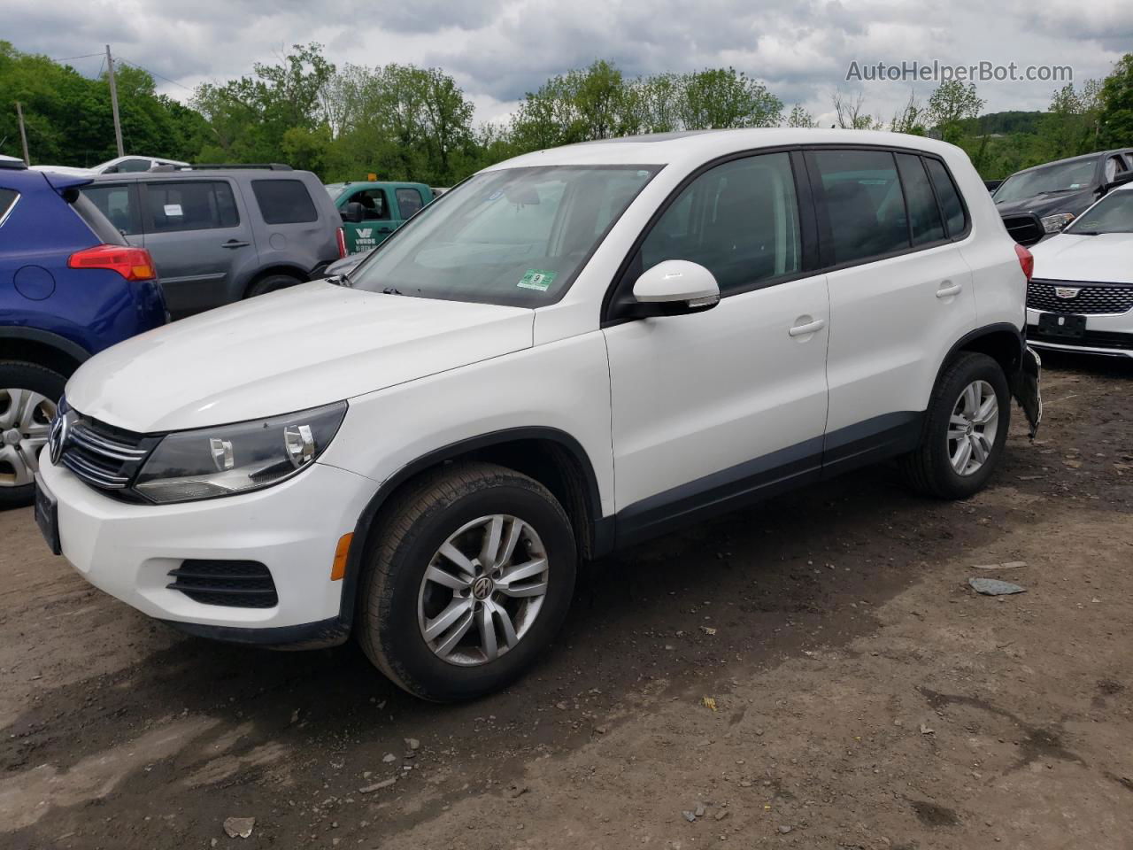 2013 Volkswagen Tiguan S White vin: WVGBV3AX9DW577793