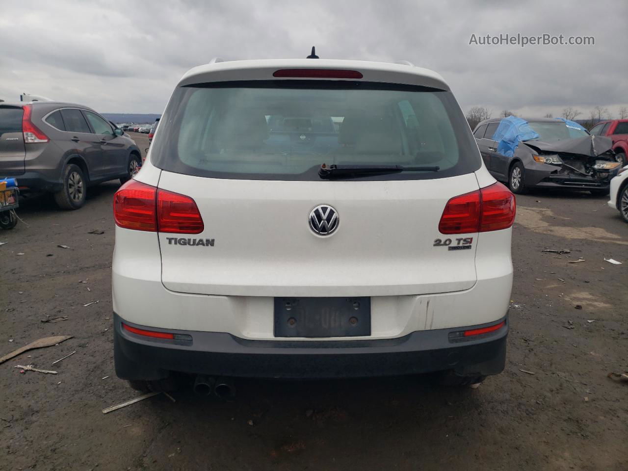 2013 Volkswagen Tiguan S White vin: WVGBV3AX9DW609402