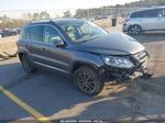 2013 Volkswagen Tiguan S/se/sel Gray vin: WVGBV3AX9DW611697