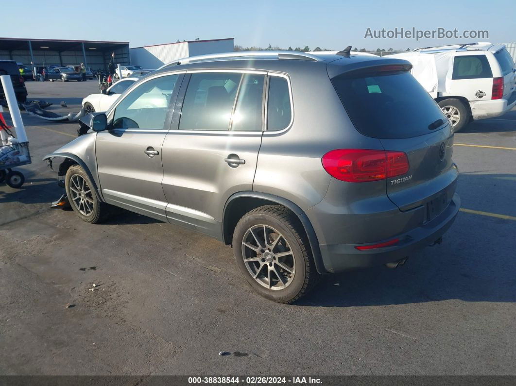 2013 Volkswagen Tiguan S/se/sel Gray vin: WVGBV3AX9DW611697