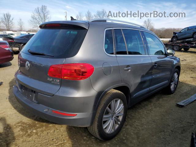 2013 Volkswagen Tiguan S Gray vin: WVGBV3AXXDW080283